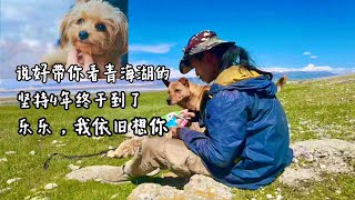 实现四年前的梦想，带上深爱的狗狗到青海湖，乐乐我依旧想你 ｜流浪生活 ｜樂浪星