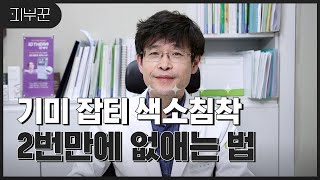 기미, 잡티 2번만에 없애는 법 | 잡티, 홍조, 탄력까지 개선하는 텐피엘!