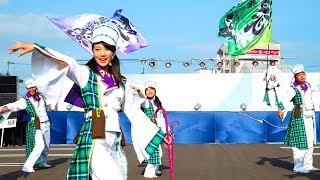 [4K]纏り衆 縁陣　銭形よさこい2017 ステージ会場（中央）