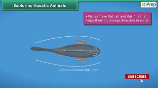 Plants and Animals in Different Surroundings V | Diversity in the Living World | Science | Class 6