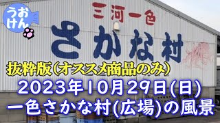 【抜粋版】780円の生うなぎ／極小海産物の仲良し水族館／200円のアンコウ（4匹800円）／謎のカニの正体判明／2023年10月29日撮影／一色さかな村／一色さかな広場／商品ラインナップ