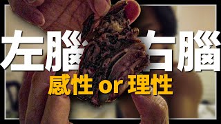 【四川樂山】甜皮鴨與甜皮兔，這裡才是甜城吧！