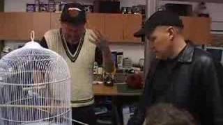 The Making of DVD Birdcage