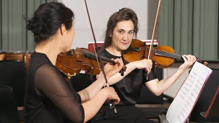 The Orchestral String Section: An Introduction (Philharmonia Orchestra)