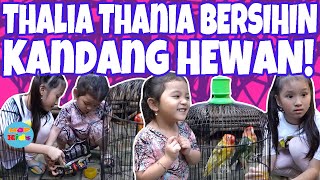 THALIA SIDAK HEWAN PELIHARAAN‼️THANIA BERSIHIN KANDANG⁉️