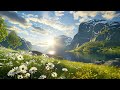 fjord meadow wildflowers fresh ambience relaxing nature sounds birds singing mountain view 8 hours