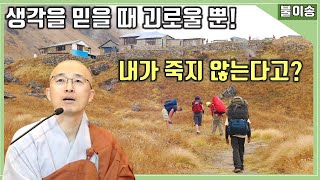 [불이11] 생각을 믿을 때 괴로울 뿐, 내가 죽지 않는다고?