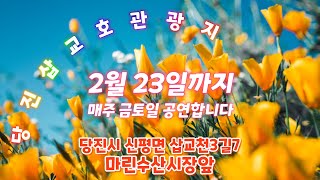 2월8일 토요일 공연 #삽교호관광지. #동동구루무 #다홍이품바   #당진삽교호 #드론쇼