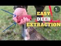The BEST Deer Drag - The Jagerschmid