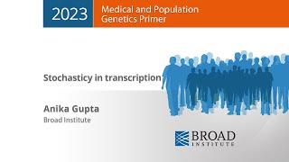 MPG Primer: Stochasticy in transcription (2023)