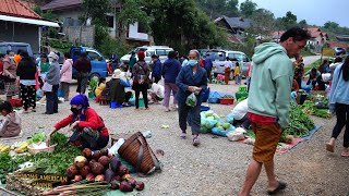 I’m In Laos: Shopping again at Xiengkhouang Early Fresh Food Market