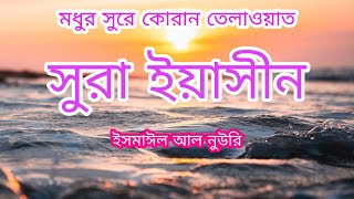 কোরান তেলাওয়াত | কোরান তেলাওয়াত সুরা ইয়াসিন | কোরান | quran tilawat | quran | holy quran