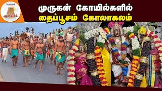 காவடி ஏந்தி பக்தர்கள் சுவாமி தரிசனம் | Thaipoosam | Murugan temples | TN