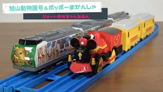 【プラレール】ミッキーマウス ポッポーきかんしゃ \u0026 廃盤車両 S-13 旭山動物園号【008】