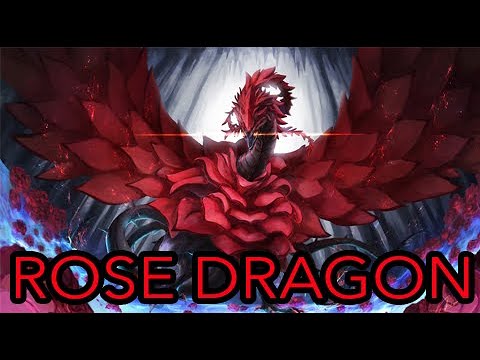 Rose Dragon Deck Profile September 2021 Youtube