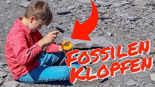 Fossilien suchen mit Kindern in Ohmden + Urweltmuseum Holzmaden