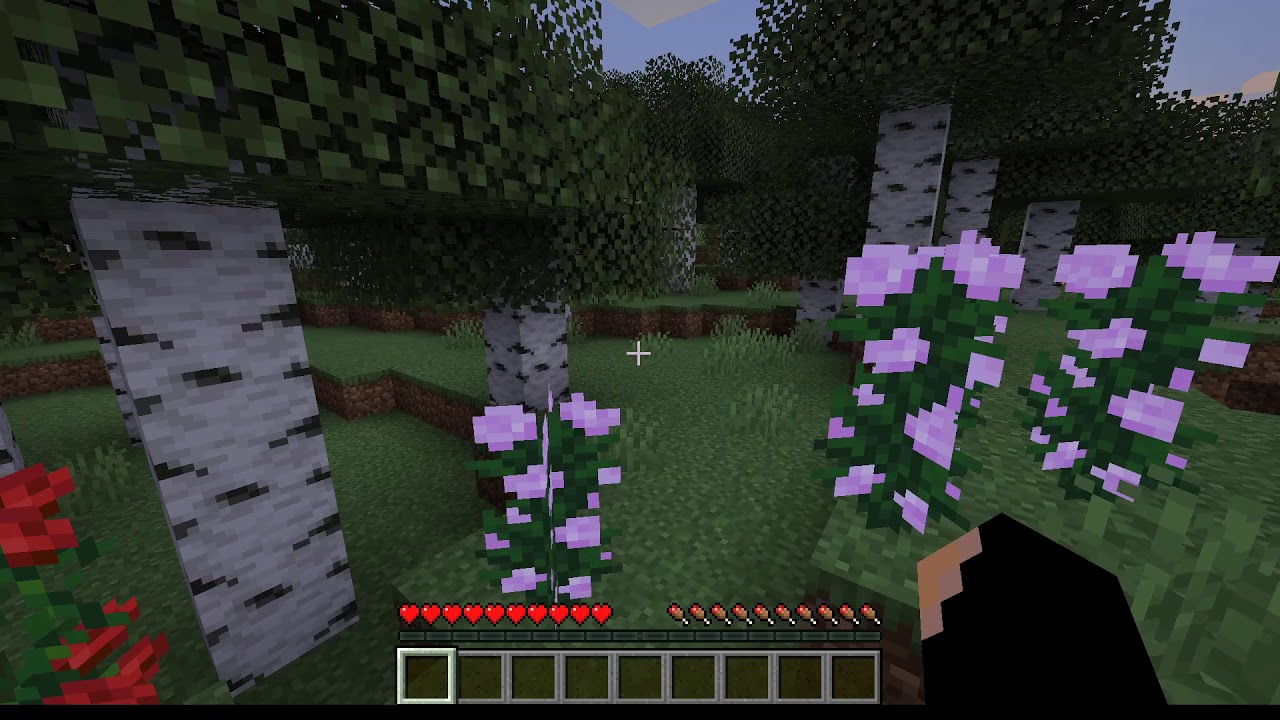 Minecraft 8 Youtube Minecraft 8 Youtube