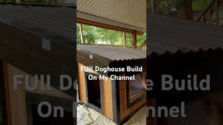 Doghouse Build- Full video on my channel #creative #diy #dog #paint  #home #building #youtubeshorts