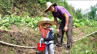 【老爸辰長記】農村娃頂著烈日去捕魚，撈到什麼了這麼高興，爺爺在旁邊不願說話