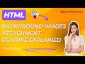 background attachment in CSS Explained | background attachment fixed vs scroll vs local