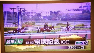 2017.06.25第58回宝塚記念(G1)本馬場入場＆返し馬＠東京競馬場