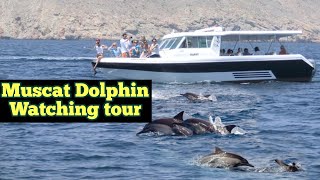 Dolphin Watching Tour in Muscat, Oman | Unforgettable Ocean Adventure! #Oman #dolphin #muscat