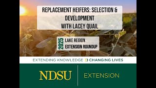 Replacement Heifers: Selection and Development