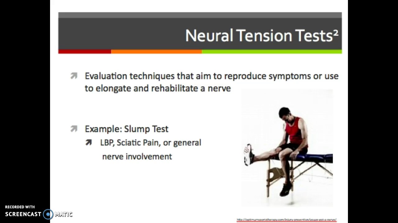 Neurodynamics Youtube
