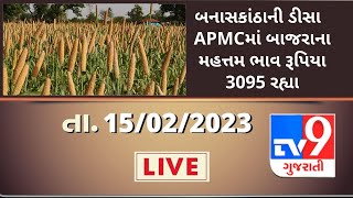 Mandi : બનાસકાંઠાની ડીસા  APMCમાં બાજરાના મહત્તમ ભાવ રૂપિયા 3095 રહ્યા | Tv9News