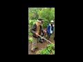 Mountain Gardens Herb Walk with Joe Hollis Part 1