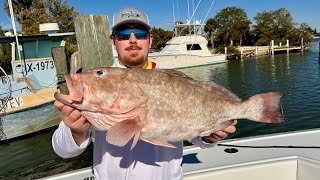 Red Grouper OPENING DAY on 34 Freeman (Catch n Clean)