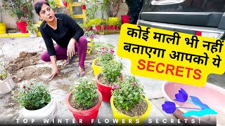 कोई माली भी नहीं बताएगा आपको ये Secrets |Sunday को लगाए सर्दियों के फूल |TOP Winter Flowers Secrets!