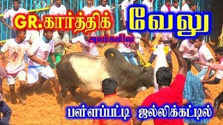 பள்ளப்பட்டி ஜல்லிக்கட்டில் GR கார்த்திக் அவர்களின் வேலு pallapatti jallikattu 2019