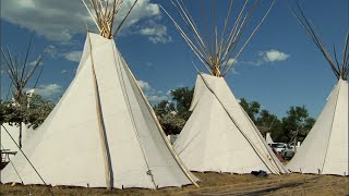 Bison and the Crow Tribe