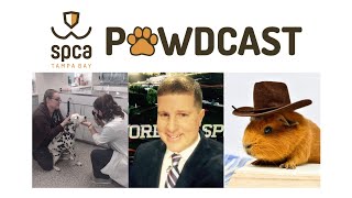 Watch SPCA Tampa Bay PAWDcast LIVE