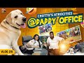 Blacksheep Office'ஐ அலறவிட்ட Chottu 😂😂| Chottu's Atrocities @ Daddy Office  | Vlog 28 | Mr Chottu