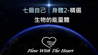 精選版4-2／七個自己-身體2：生物的能量體