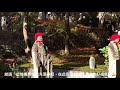 2018 11 3 1 日本東北山形縣賞楓品杏自駕遊 紅葉🍁祕境：鶴布山珍藏寺 推薦為此次東北地區賞楓品杏景點之第一名🏆）