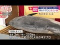 特大マグロにおさい銭　「お金が身につく」ように【スーパーjチャンネル】 2025年1月8日