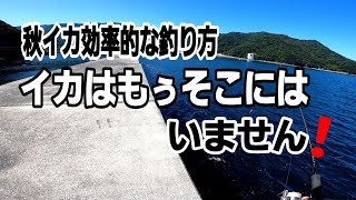 【エギング】秋イカエギングの基本。秋イカ調査で津久見へ行きました。大分エギング