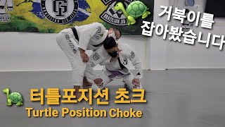 터틀포지션 초크 Turtle Position Choke - \