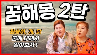 원숭이 개 닭 나오는 꿈풀이 !  꿈해몽 2탄 / 김포점집 아라당당