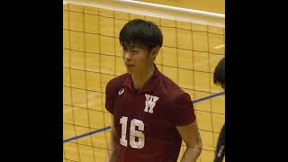 Waseda University #早稲田大学バレーボール部#早稲田大学男子バレーボール部 #waseda #volleyballjapan #springleague #haikyuu