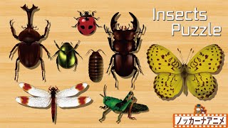 【昆虫・虫パズル】カブトムシやクワガタムシなど色んな虫が登場！子供向けアニメ★ Insects Puzzle kids anime