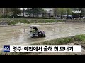 영주·예천 올해 첫 모내기 안동mbc