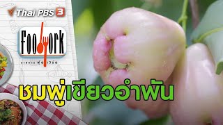 ชมพู่เขียวอำพัน : Foodwork [CC] (5 ก.ค. 63)