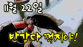 11월 22일 초 겨울 꺽지낚시, 웬 일로 5분 만에 첫 수가... (Korea Rockfish Lure Fishing)