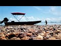 Peacock bass Fishing Suriname  - Brokopondo Lake (Fish junkies)