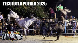 El poderio Imponente!! Rancho El Tamarindo en Tecolutla Puebla 2025