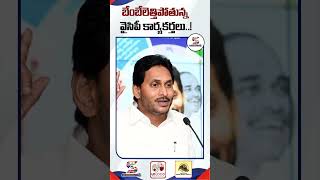 Big Shock to YSRCP | What Happens To YCP Social Media Teams ? | AP Politics #ycpsocialmedia